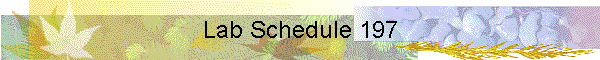 Lab Schedule 197