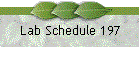 Lab Schedule 197