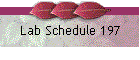 Lab Schedule 197