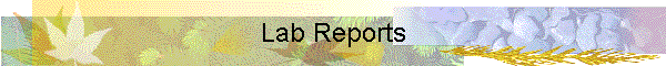 Lab Reports