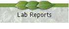 Lab Reports