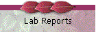 Lab Reports