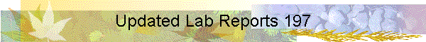 Updated Lab Reports 197