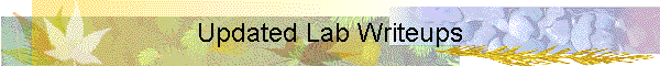 Updated Lab Writeups